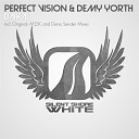 Perfect Vision Demy Yorth - Baikal Original Mix