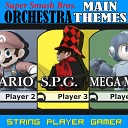 String Player Gamer - Super Smash Bros Main Theme Orchestrated