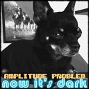 Amplitude Problem - Into the Night