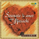 Mariachi Nueva Guadalajara feat El Charro… - Amor de Mis Amores