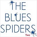 The Blues Spiders - End In Tears Live