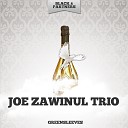 Joe Zawinul Trio - Beat Original Mix