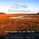 Christopher Seufert - Song Birds on the Marsh Part 03