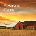 Cantus - Turkey in the Straw Live for Broadcast