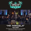 Trenton and Free Radical feat Cape Philharmonic Youth Orchestra SA Youth… - Mr Mandela