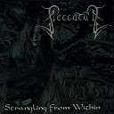 PECCATUM - The World Of No Worlds