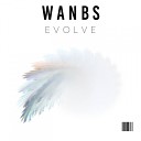 WANBS - Evolve Original Mix