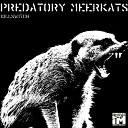 Predatory Meerkats - Trash And Bass Original Mix