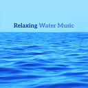 Nature Sounds Relaxation Music for Sleep Meditation Massage Therapy… - Calm Guitar