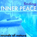 Reiki Nausicaa - The Flow Energy Healing Music