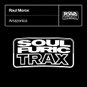Raul Moros - Amazonica DJ Jeroenski Remix
