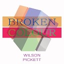 Wilson Pickett - Robert s Monkey Beat