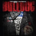 Bulldog - Cementerio Punk