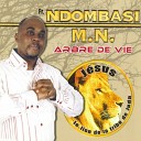 Fr Ndombasi M N - Arbre de vie Psaume 1