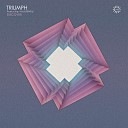 Triumph feat Valldeneu - Discover Ian O donovan Remix