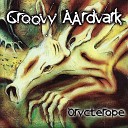 Groovy Aardvark - Phare