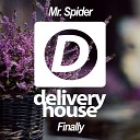 Mr Spider - Finally Original Mix