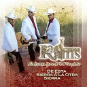 Los Rams De La Sierra - Por Amarte