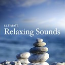 Sauna Relax Music Rec - Waters Flowing