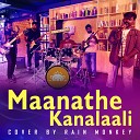 Praveen Mohanan Kottarapat Rain Monkey - Maanathe Kanalaali Cover Version