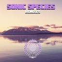 Sonic Species - Infinity Mental Broadcast Remix
