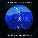 Calvin Harris ft Rihanna - This What You Came For