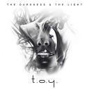 T O Y - The Darkness The Light Daniel Myer Remix