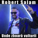 Robert Salam - Am barbat finete mare