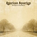 American Aquarium - Tellin A Lie