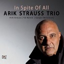 Arik Strauss Trio - Seany s Love Blanket