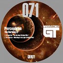 Perceptron - The Burning Original Mix