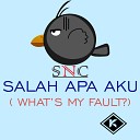 SNC - Salah Apa Aku What s My Fault Original Mix