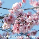 Same Ideas - You Know Original Mix