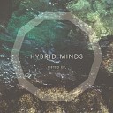Hybrid Minds feat Matt Banks - Lifted