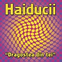 HAIDUCII - original mix