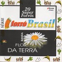 Banda Flor da Terra - Meu Primeiro Amor