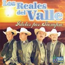 Los Reales del Valle - Mi destino fue quererte