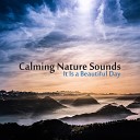 Calm Music Masters Relaxation - Relaxing Day