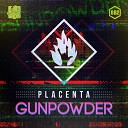 Placenta - Broken Walls Original Mix