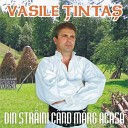 Vasile Tintas - Mandra I mare cateluse