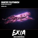 Dmitry Plotnikov - Now Or Never Original Mix