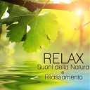 Relax Rilassamento Wellness e Musica - Torrente di Montagna Rumore Rosa Naturale per…