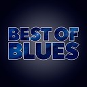John Lee Hooker - Worried Life Blues