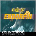 AVTN - Запоминай Remix by ENDORFIN