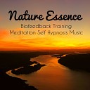 Calming Music Academy - Brainwave Healing
