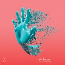 The Aston Shuffle feat Kaelyn - Can 039 t Stop Now PrimeMusi
