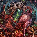 Epicardiectomy - Defleshed and Wormed
