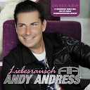Andy Andress - Mehr Als 1000 Worte