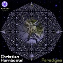 Christian Hornbostel - Paradigma Alex Raider Remix