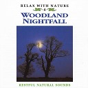 Natural Sounds - Woodland Nightfall